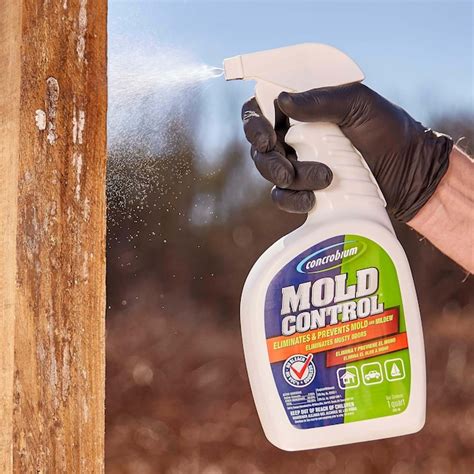 Beat Mold the Easy Way with Magic Mold Remover